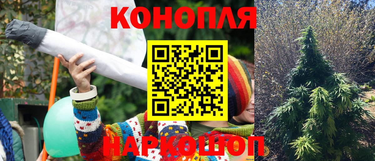 Фрязино  Бошки Шишки LSD WEED  МАРИХУАНА план  Вход с VPN  Канабис ГИДРОПОН 